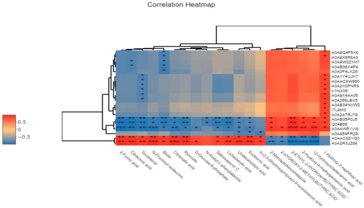 Figure 13
