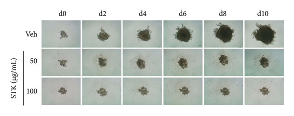 Figure 17
