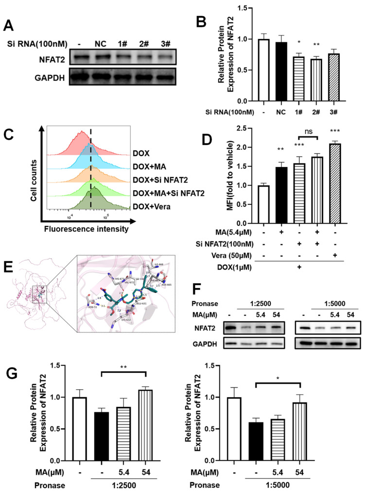 Figure 7