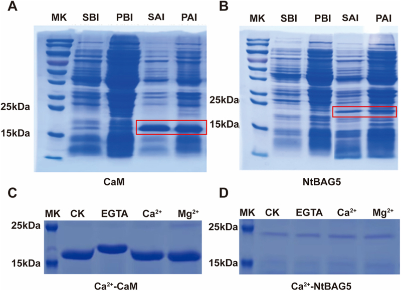Figure 11