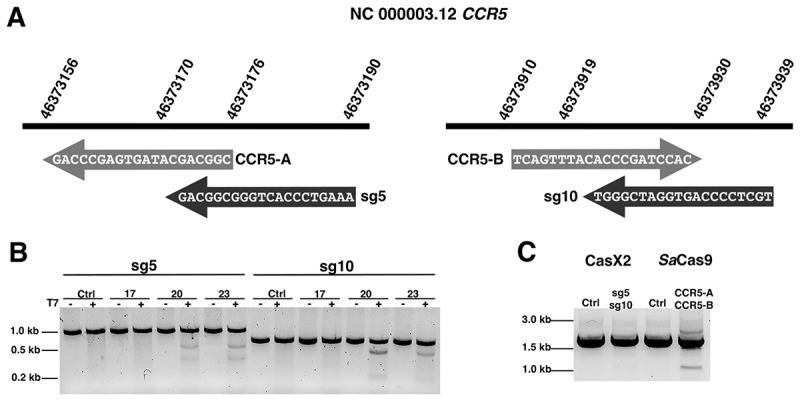 Figure 2