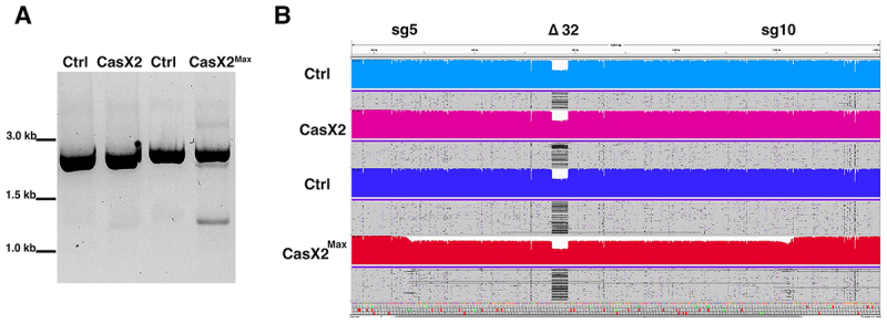 Figure 10