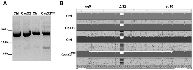 Figure 11