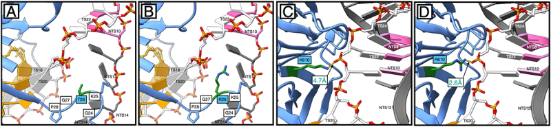 Figure 12