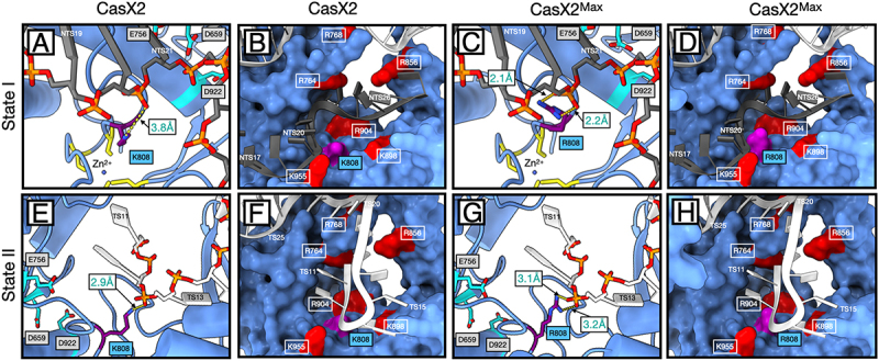 Figure 14