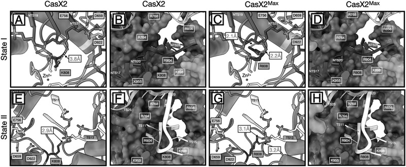 Figure 15