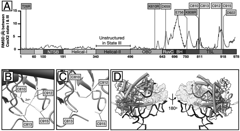 Figure 17