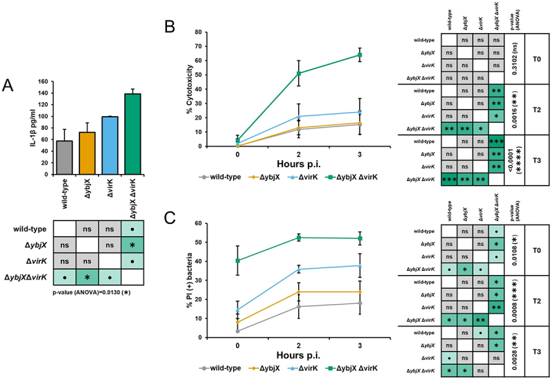 Figure 13