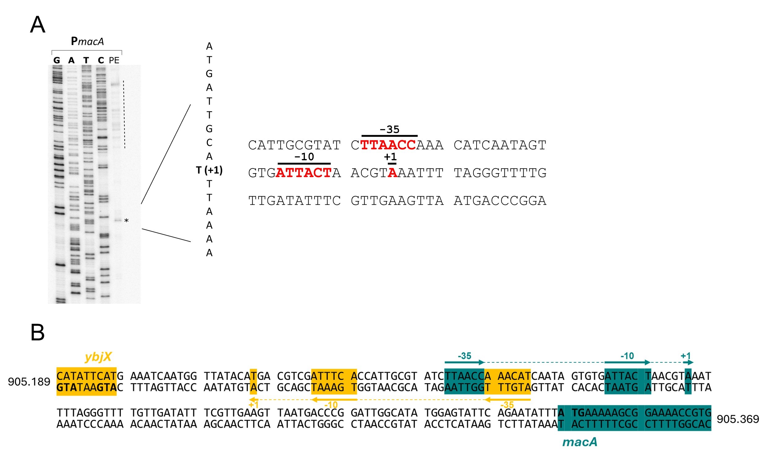 Figure 16