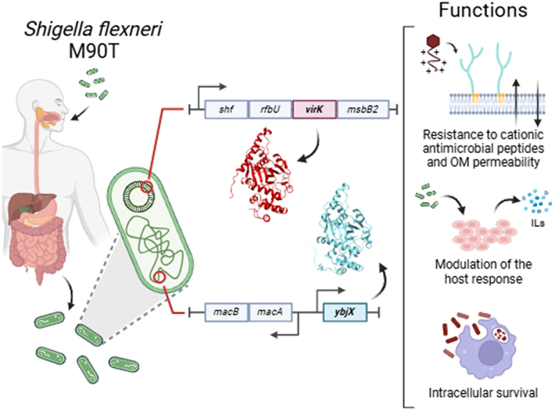 Figure 18
