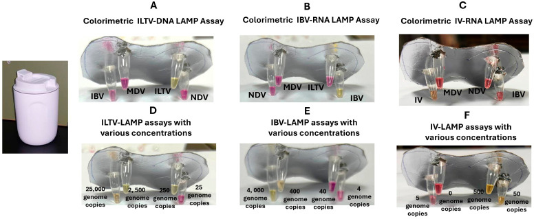 Figure 4