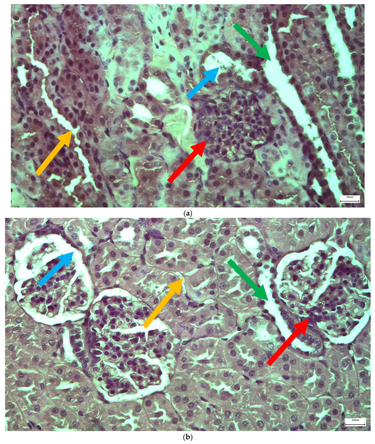 Figure 16