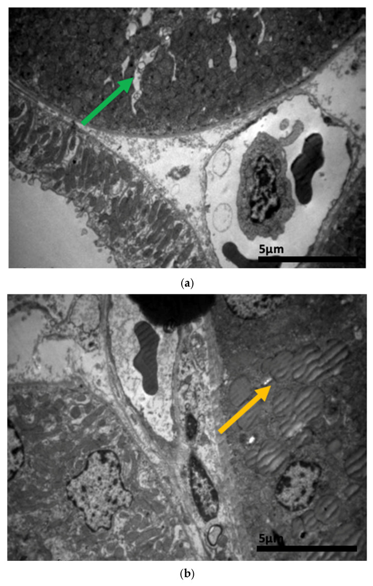 Figure 19