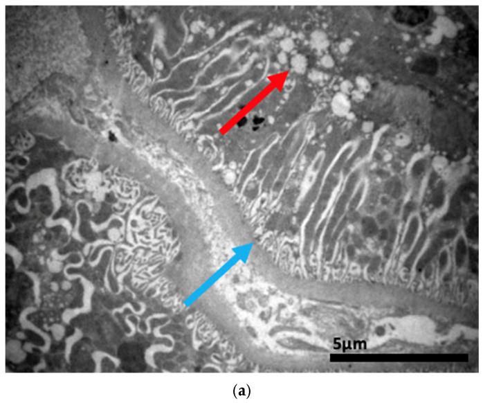 Figure 21