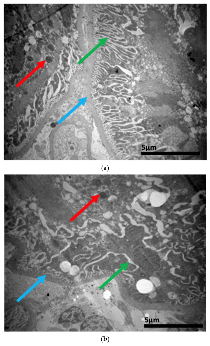 Figure 23