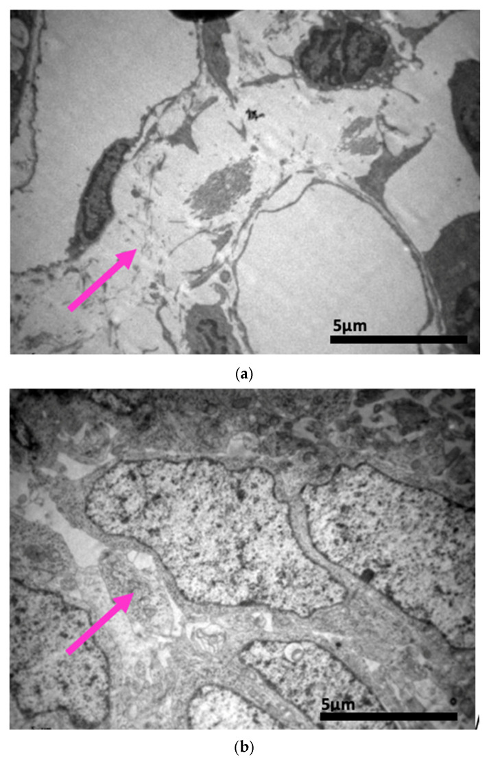Figure 24
