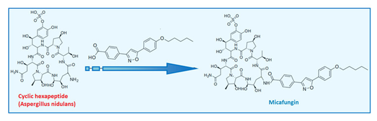 Figure 27
