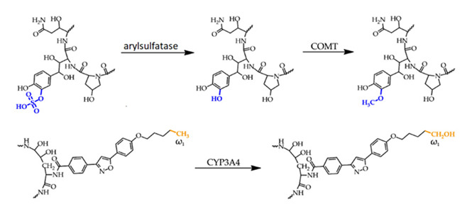Figure 28