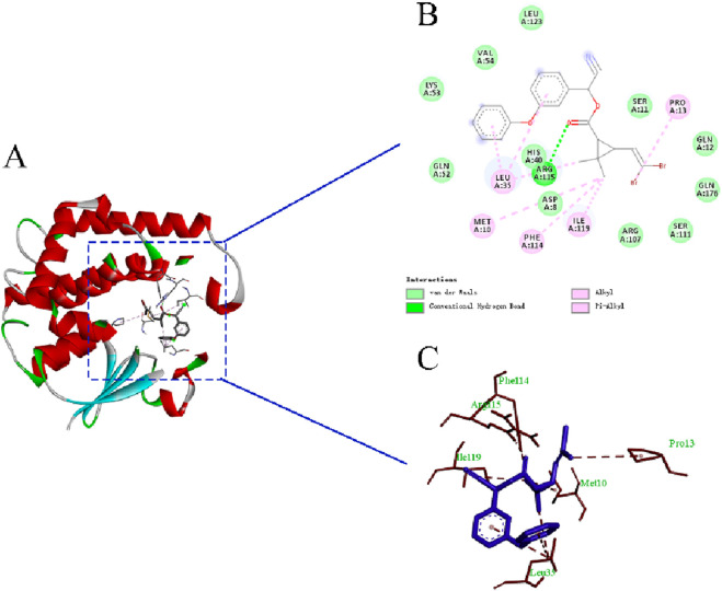 Figure 5