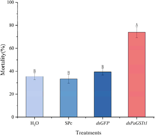 Figure 8