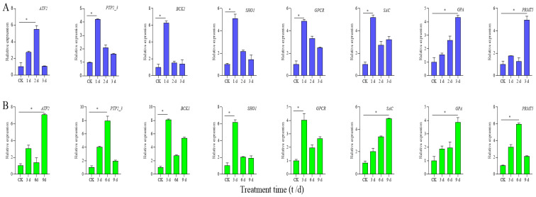 Figure 7