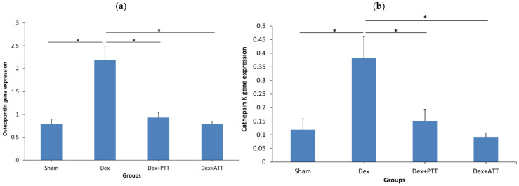 Figure 13