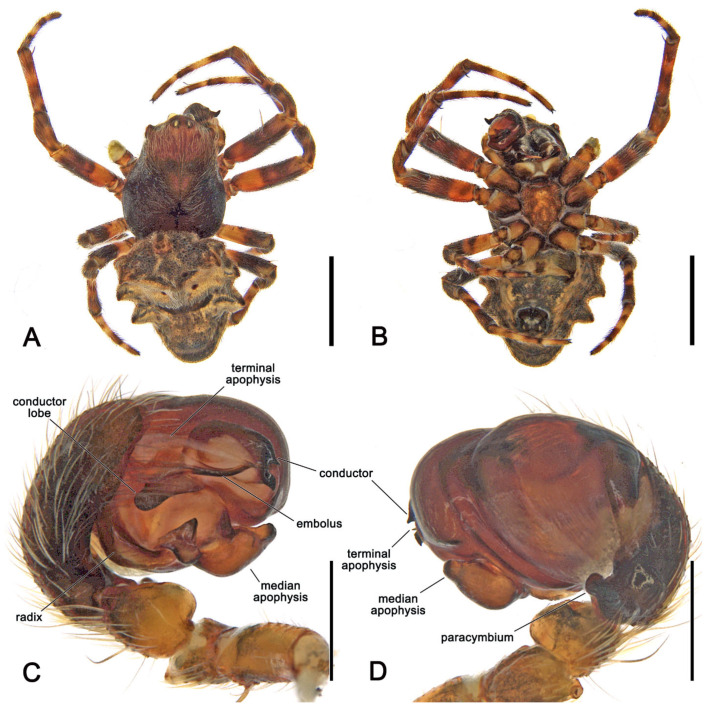 Figure 5
