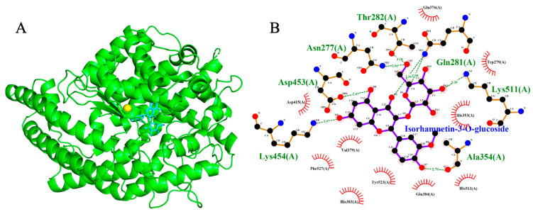 Figure 6