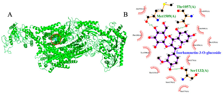 Figure 10