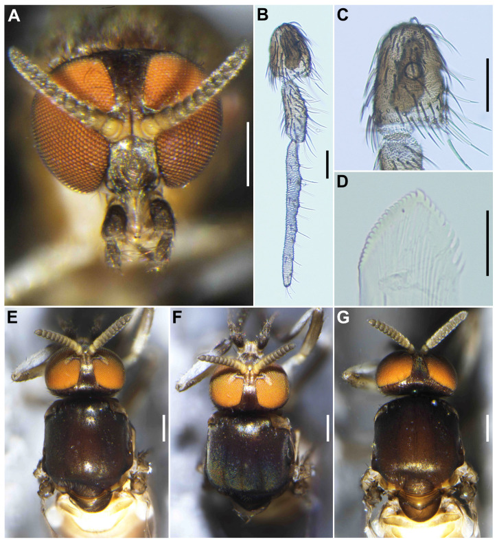 Figure 9