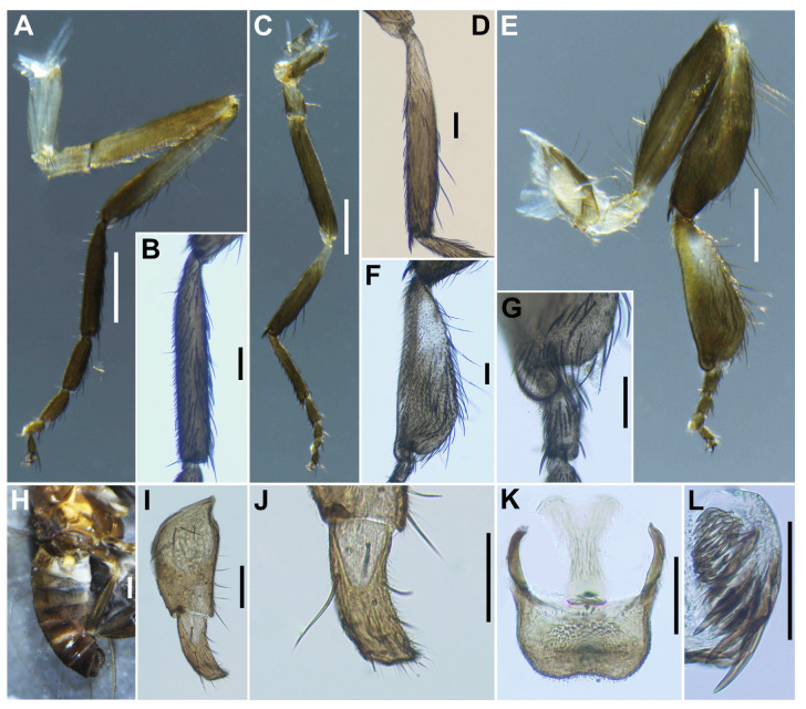Figure 12