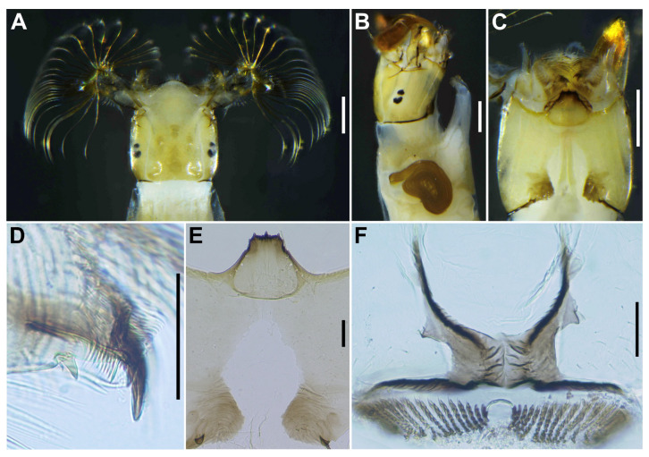 Figure 16