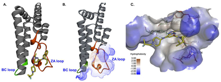 Figure 9