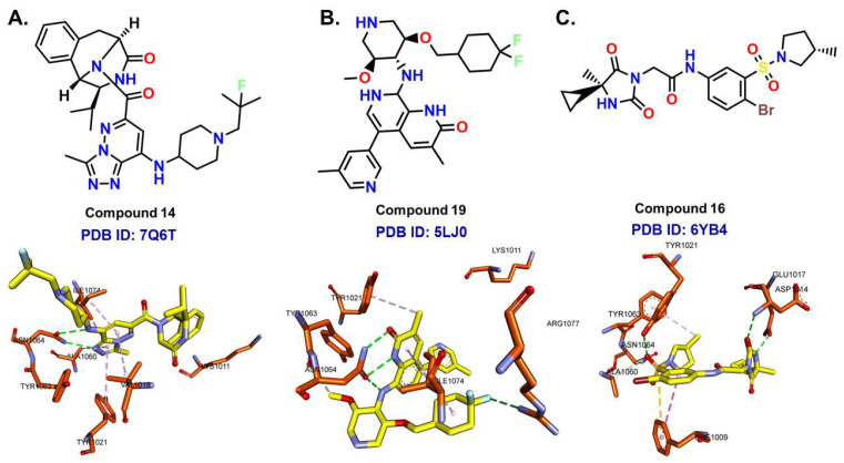 Figure 10