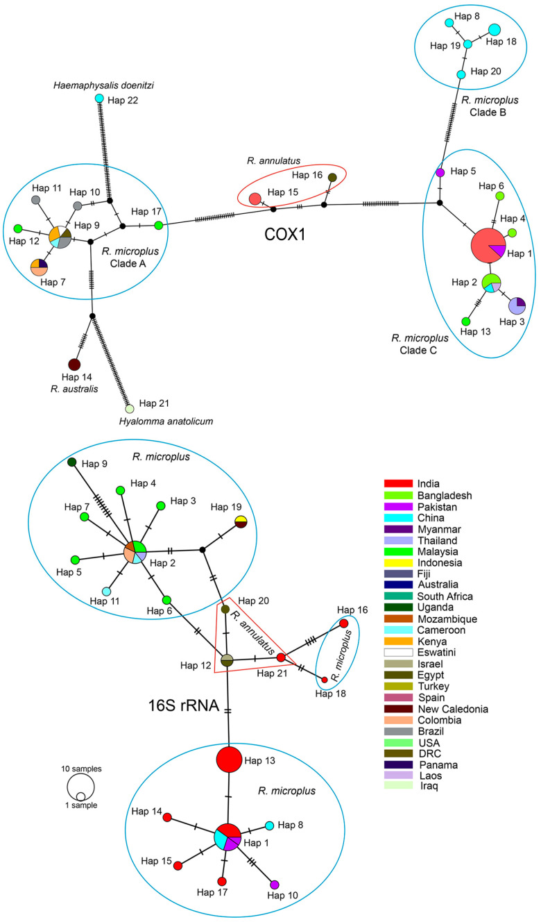 Figure 6