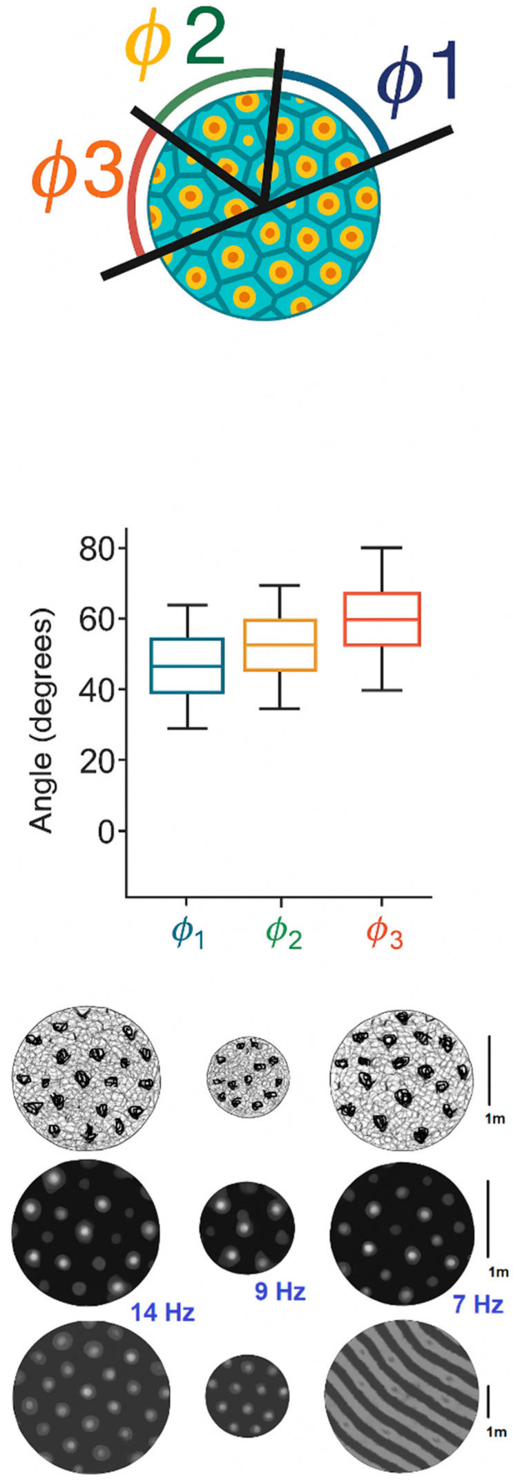 Figure 14