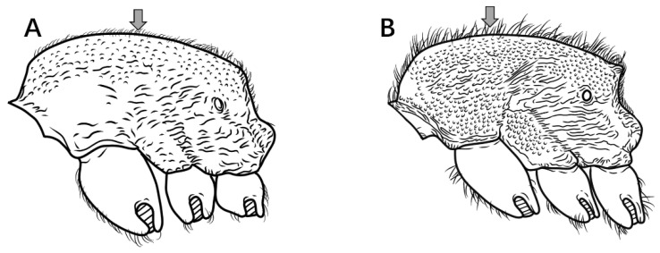Figure 10