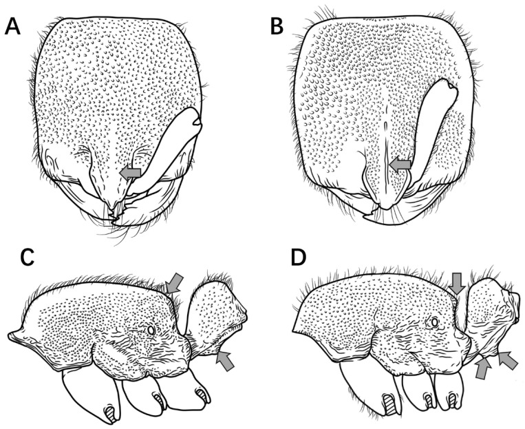Figure 13
