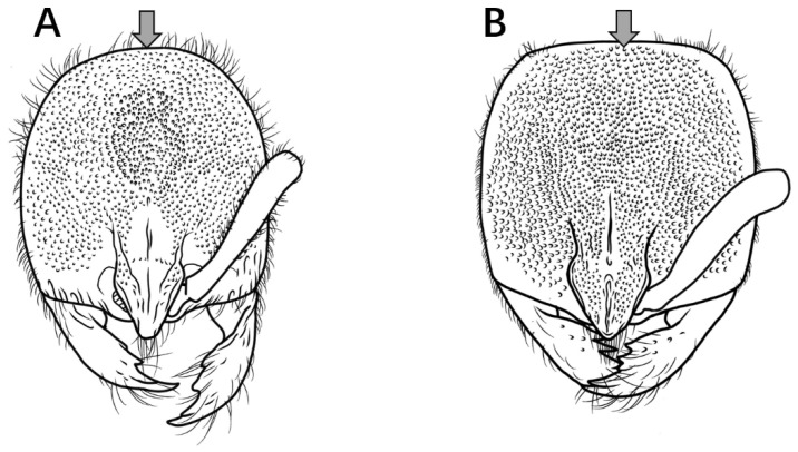 Figure 14