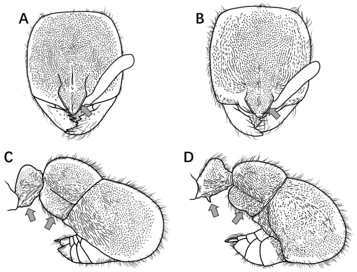 Figure 15