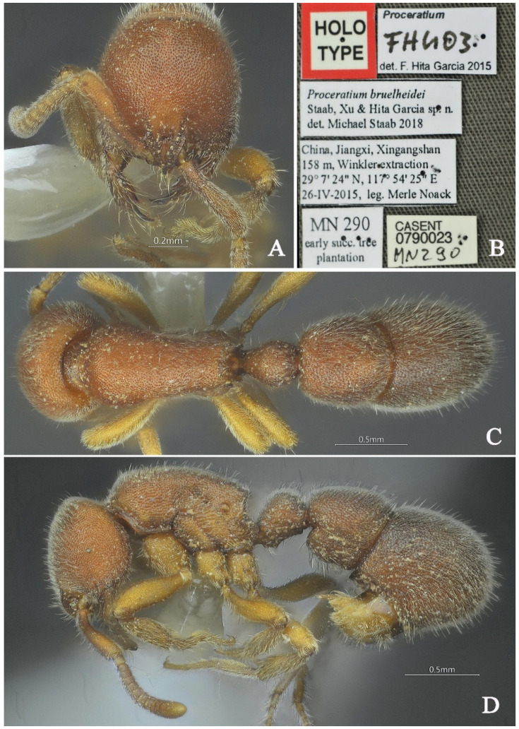 Figure 16