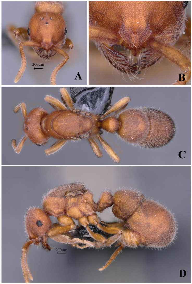Figure 17