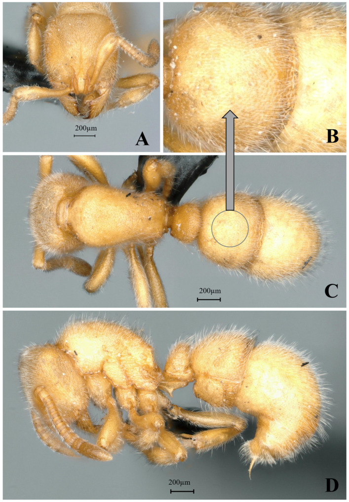 Figure 18