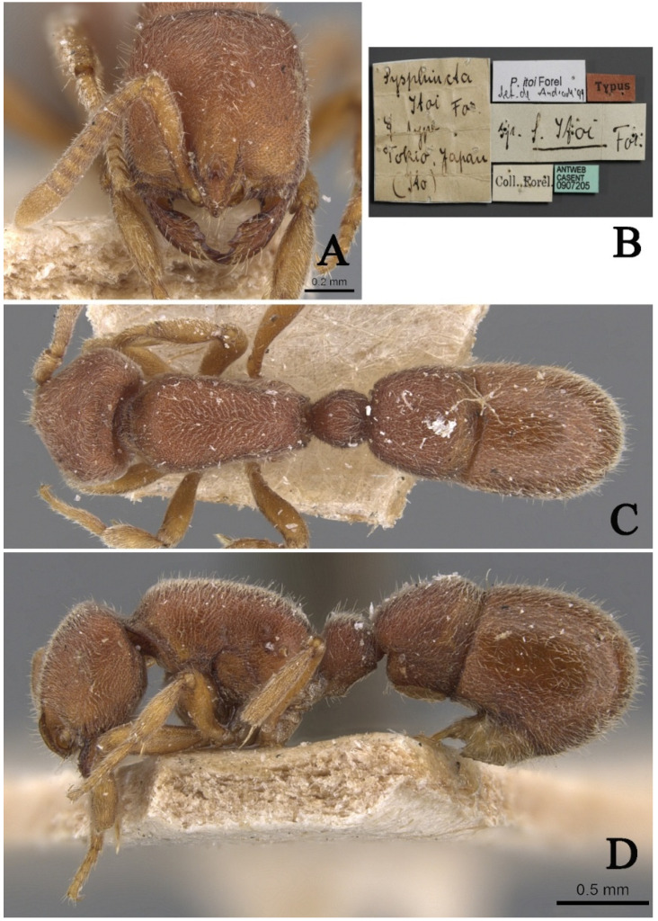 Figure 20