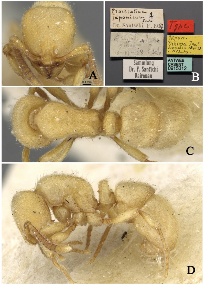 Figure 21