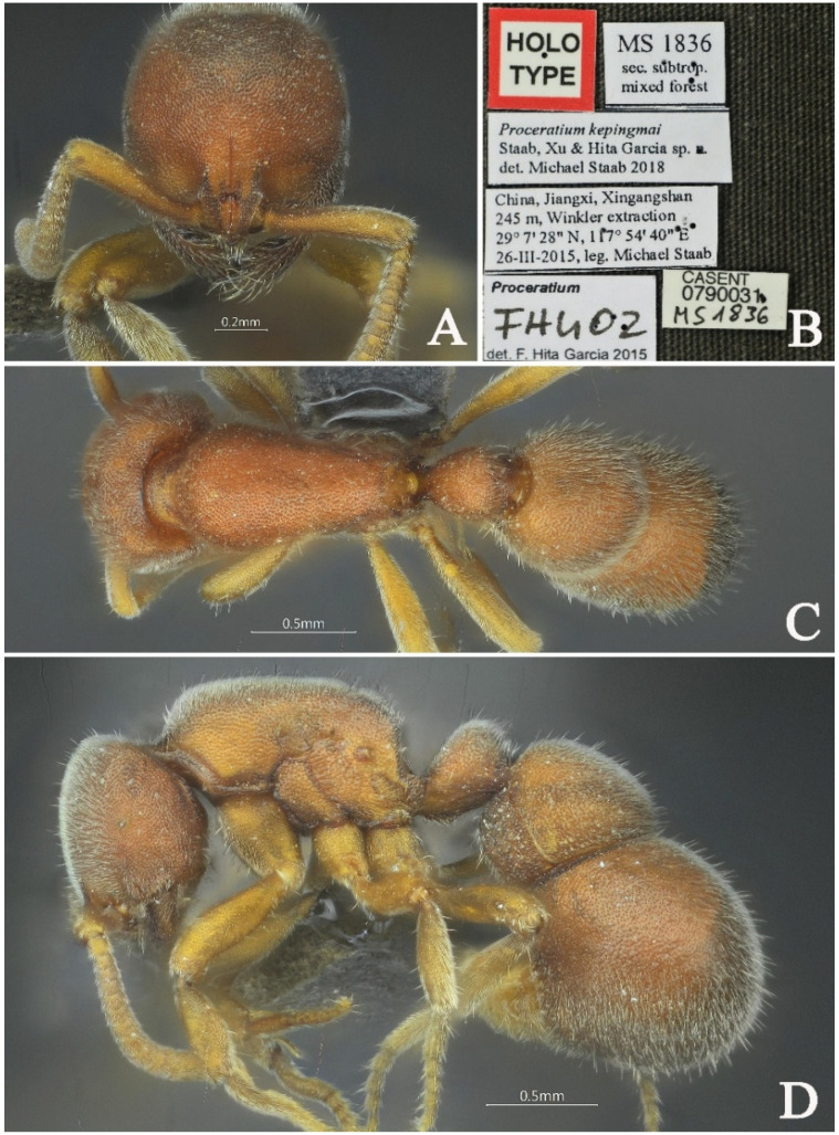 Figure 22