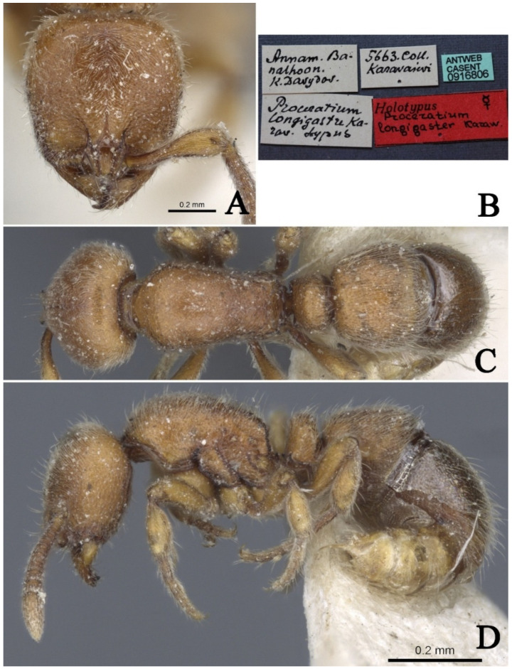 Figure 23