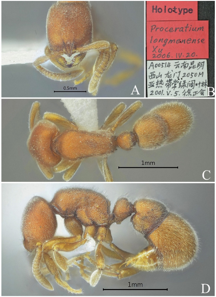 Figure 24