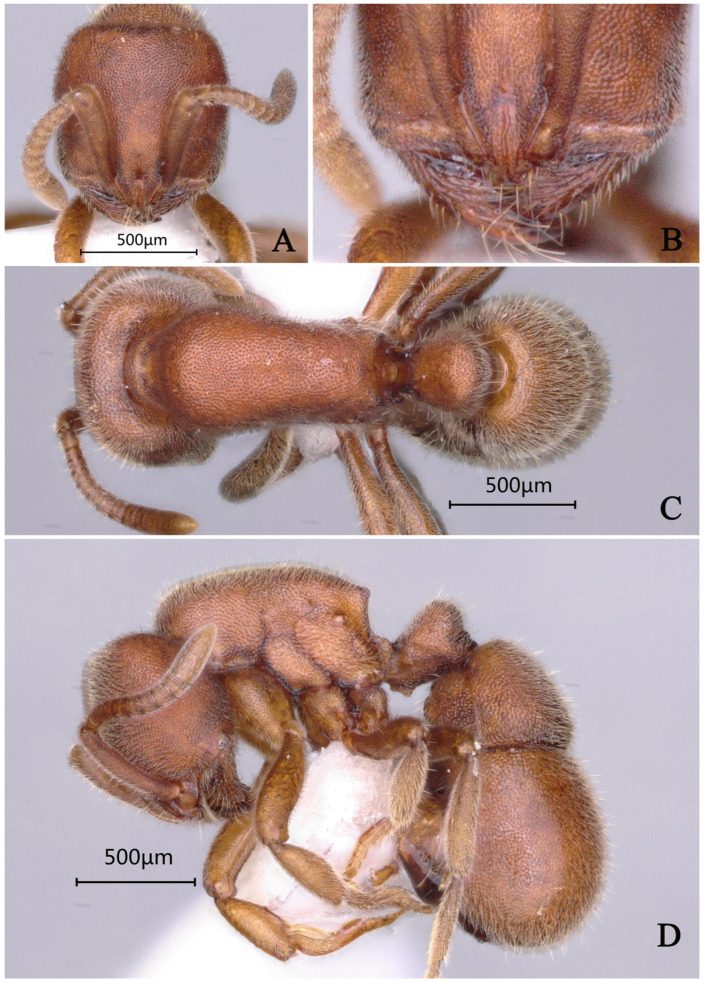 Figure 26