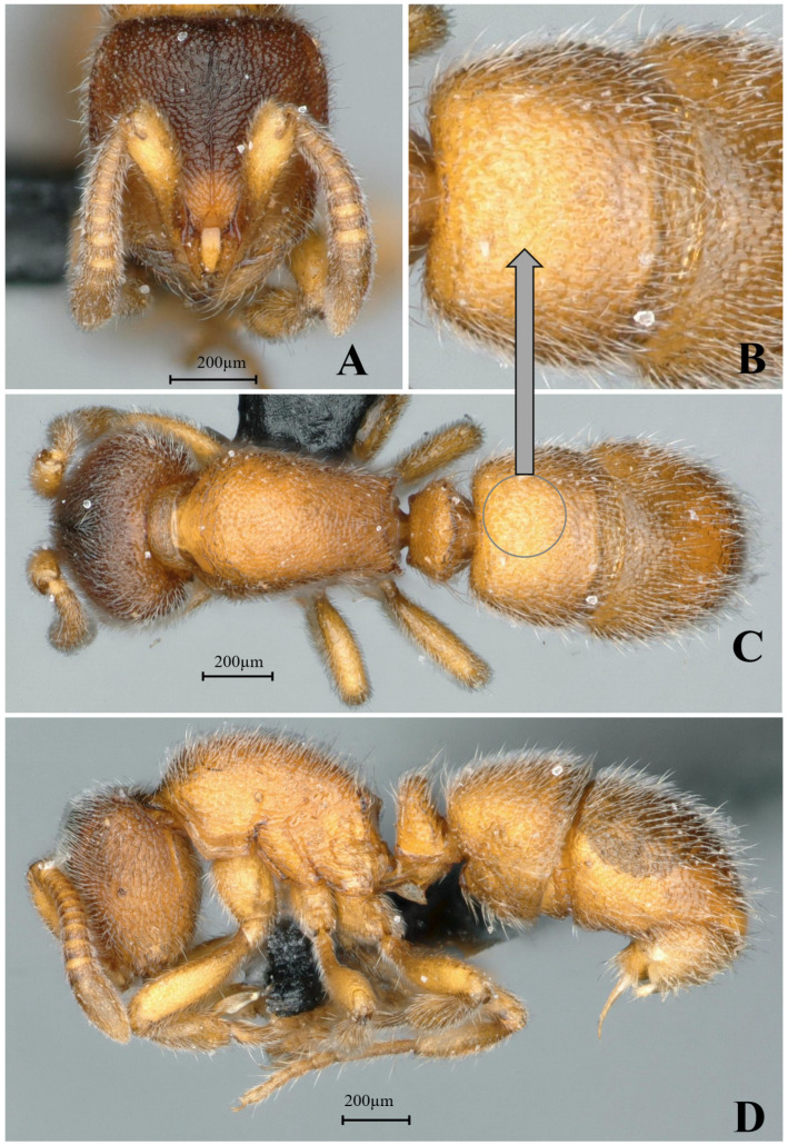 Figure 27